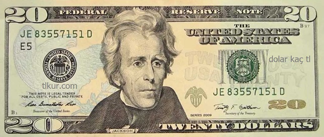 20 dolarlık banknot